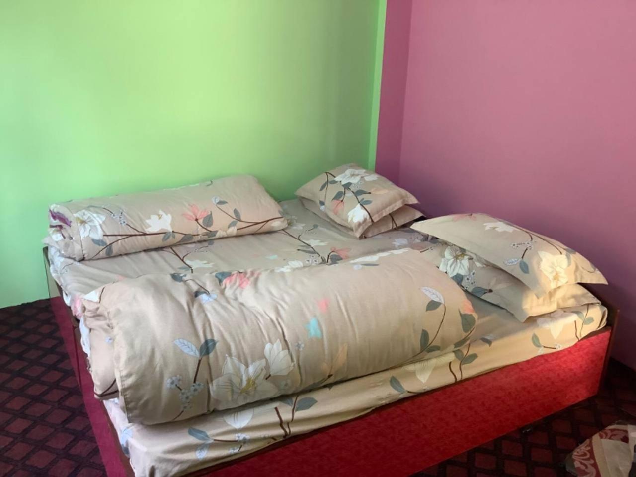 Countryside Comfort Homestay ナガルコット エクステリア 写真